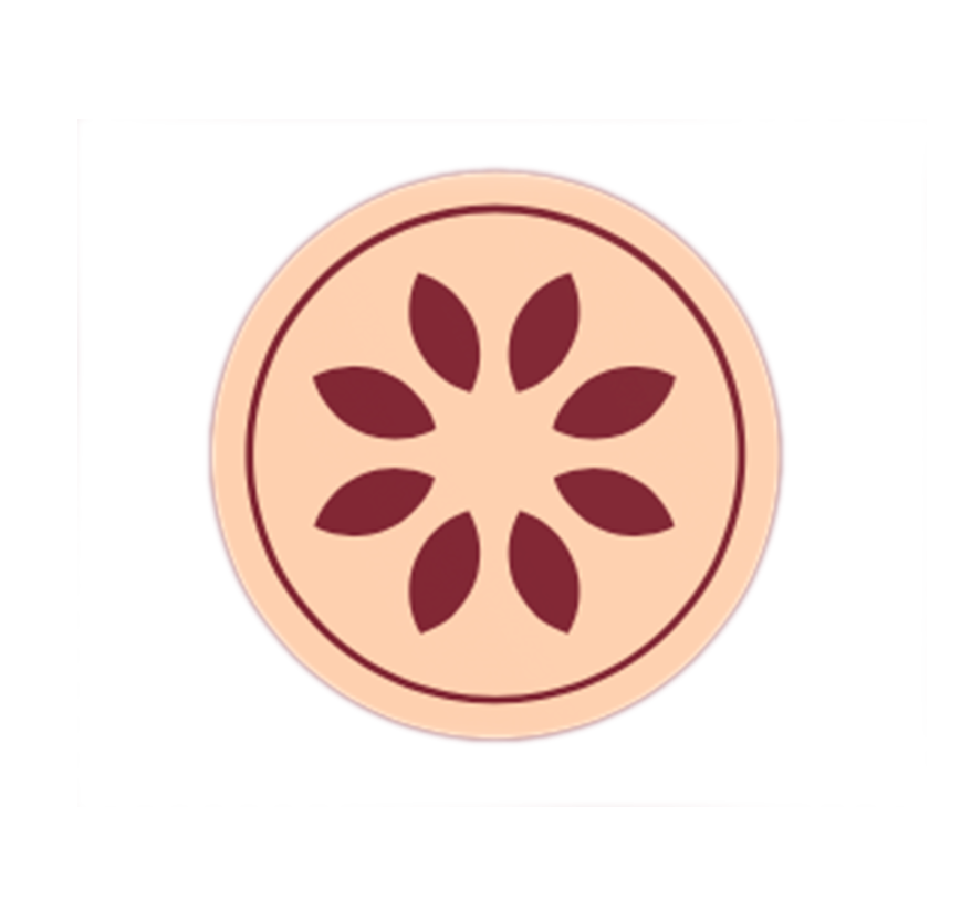 The Toronto Social Club